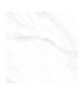 CALCUTTA-WHITE_F1-24x24